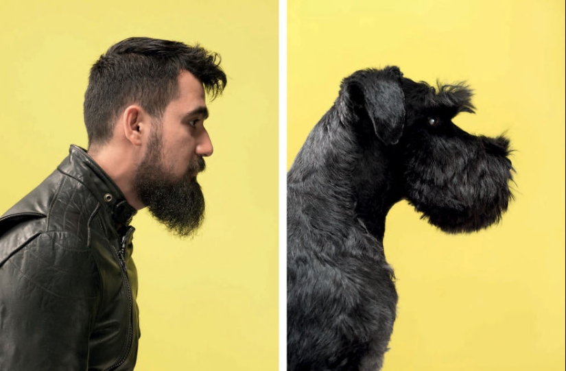 Find 10 differences: dogs, just like their owners Find 10 differences: dogs, just like their owners