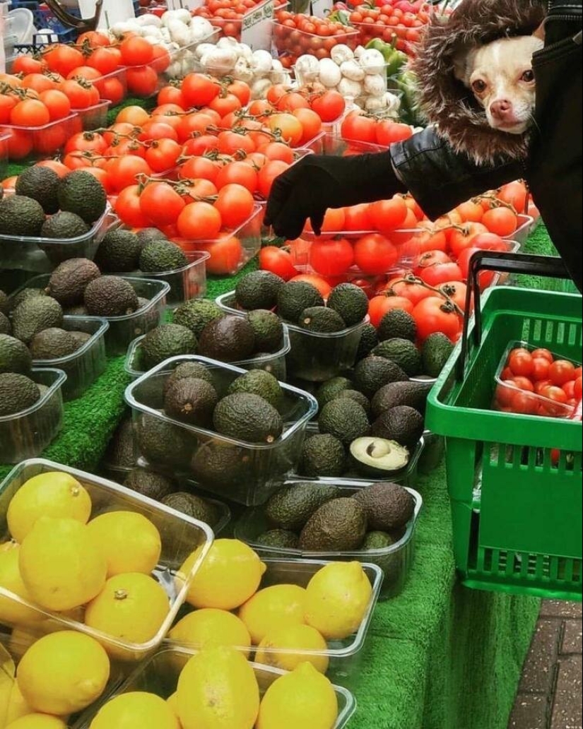 Fotografías de todo lo que va a hacer su día más brillante y tu sonrisa más amplia Fotografías de todo lo que va a hacer su día más brillante y tu sonrisa más amplia