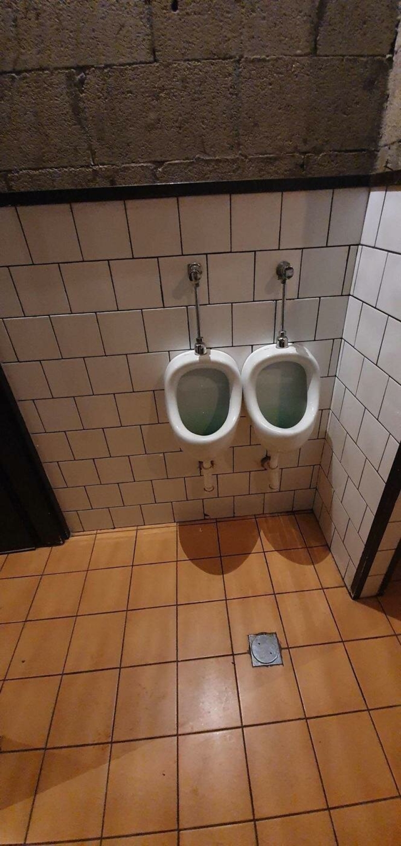 Fotografías de todo lo que va a hacer su día más brillante y tu sonrisa más amplia Fotografías de todo lo que va a hacer su día más brillante y tu sonrisa más amplia