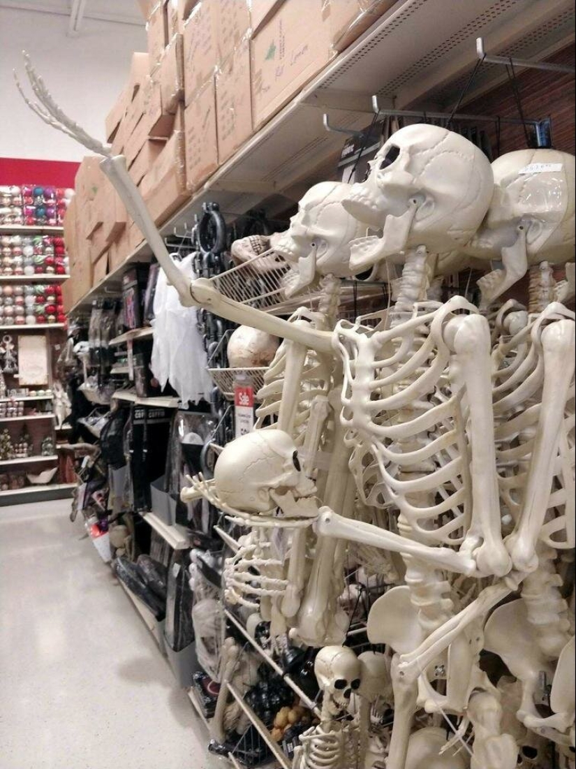 Fotografías de todo lo que va a hacer su día más brillante y tu sonrisa más amplia Fotografías de todo lo que va a hacer su día más brillante y tu sonrisa más amplia