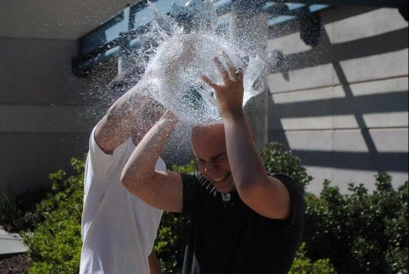 Fotografías de todo lo que va a hacer su día más brillante y tu sonrisa más amplia Fotografías de todo lo que va a hacer su día más brillante y tu sonrisa más amplia