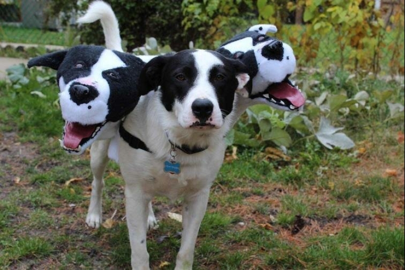 Fotografías de todo lo que va a hacer su día más brillante y tu sonrisa más amplia Fotografías de todo lo que va a hacer su día más brillante y tu sonrisa más amplia