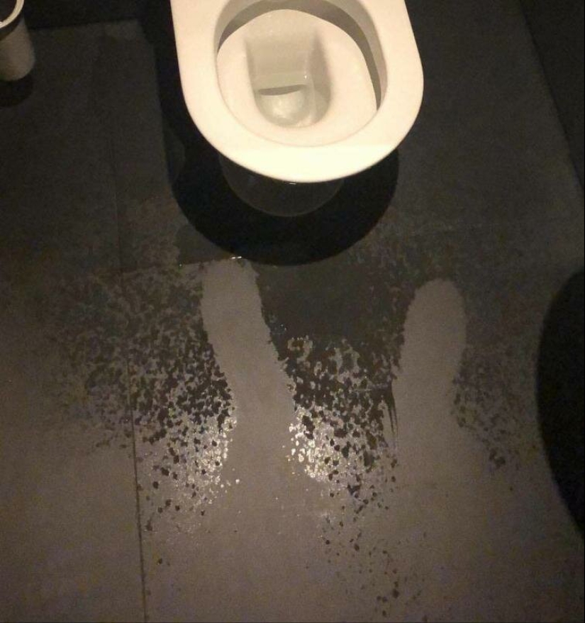 Fotografías de todo lo que va a hacer su día más brillante y tu sonrisa más amplia Fotografías de todo lo que va a hacer su día más brillante y tu sonrisa más amplia