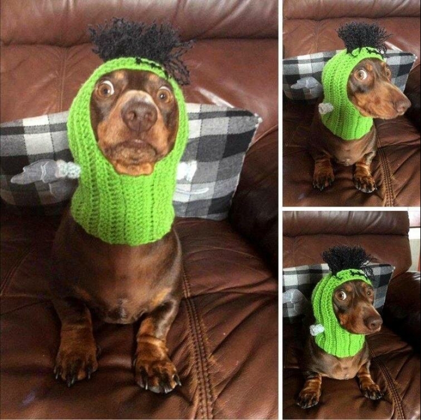 Fotografías de todo lo que va a hacer su día más brillante y tu sonrisa más amplia Fotografías de todo lo que va a hacer su día más brillante y tu sonrisa más amplia