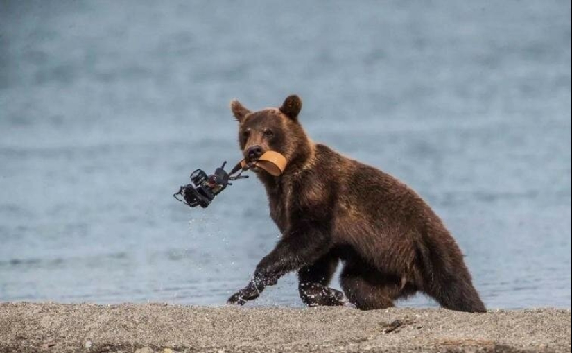 Fotografías de todo lo que va a hacer su día más brillante y tu sonrisa más amplia Fotografías de todo lo que va a hacer su día más brillante y tu sonrisa más amplia