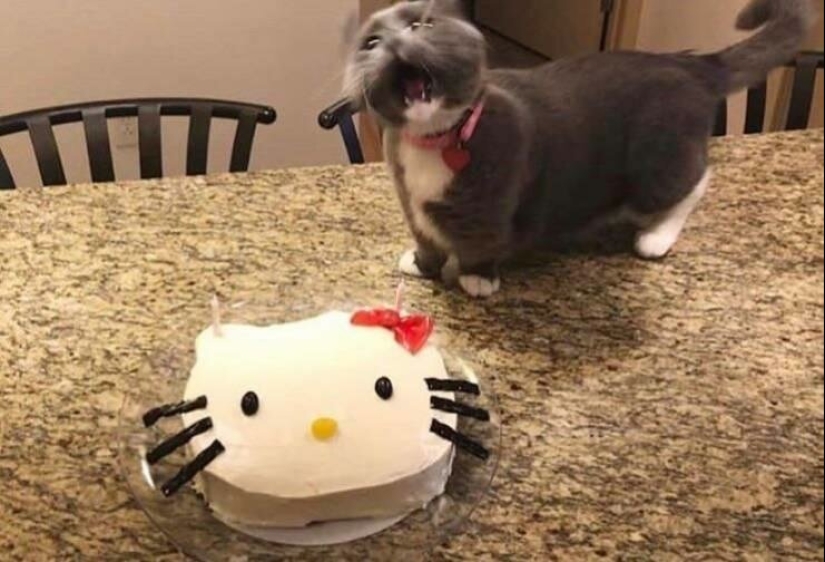 Fotografías de todo lo que va a hacer su día más brillante y tu sonrisa más amplia Fotografías de todo lo que va a hacer su día más brillante y tu sonrisa más amplia