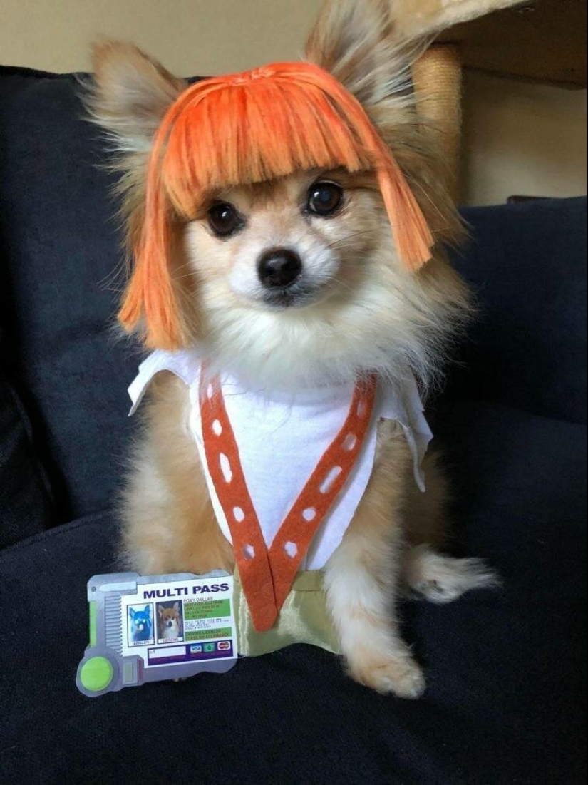 Fotografías de todo lo que va a hacer su día más brillante y tu sonrisa más amplia Fotografías de todo lo que va a hacer su día más brillante y tu sonrisa más amplia