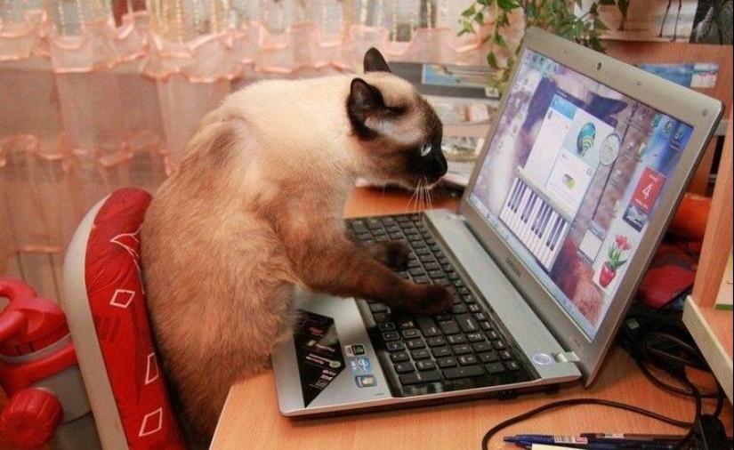 Fotografías de todo lo que va a hacer su día más brillante y tu sonrisa más amplia Fotografías de todo lo que va a hacer su día más brillante y tu sonrisa más amplia