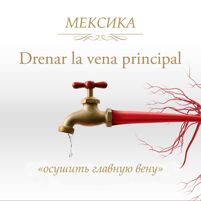 Frases terriblemente divertidas en diferentes idiomas que denotan la masturbación