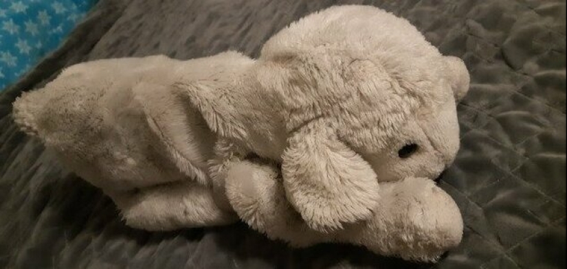 From glasses to boot the father: netizens showed their family heirlooms From glasses to boot the father: netizens showed their family heirlooms