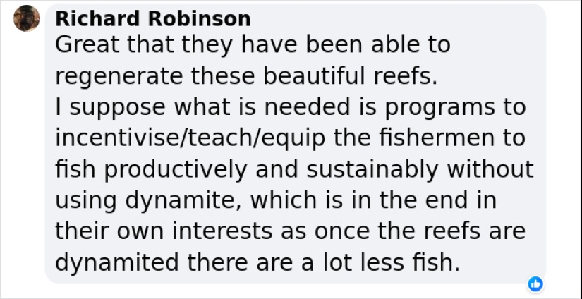 Full Recovery For A Lifeless Coral Reef Within 4 Years, Study Finds Full Recovery For A Lifeless Coral Reef Within 4 Years, Study Finds