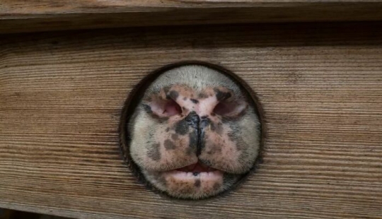 Fun Accidental Moments Captured By This Street Photographer Fun Accidental Moments Captured By This Street Photographer