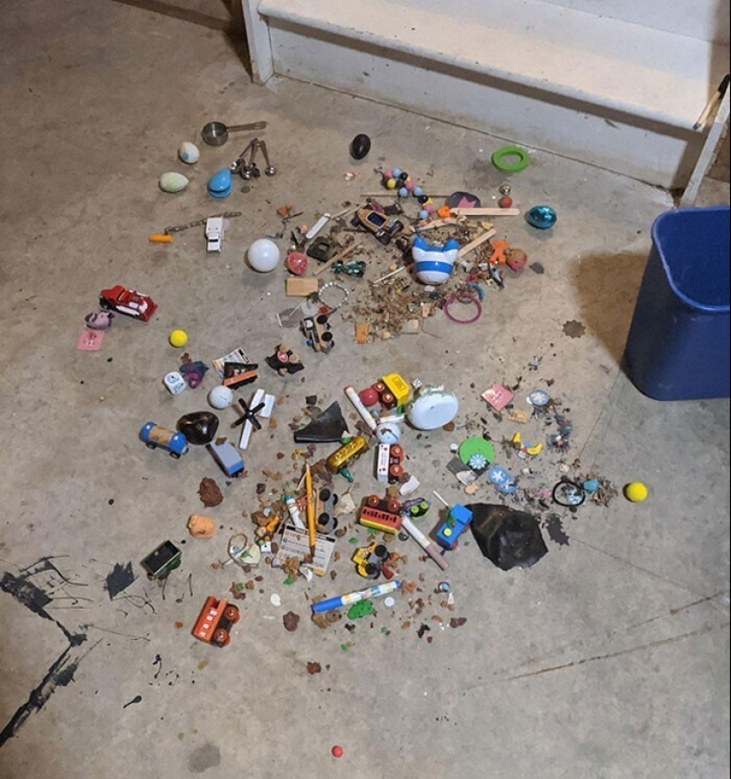 Fun and scary: what life with children really looks like