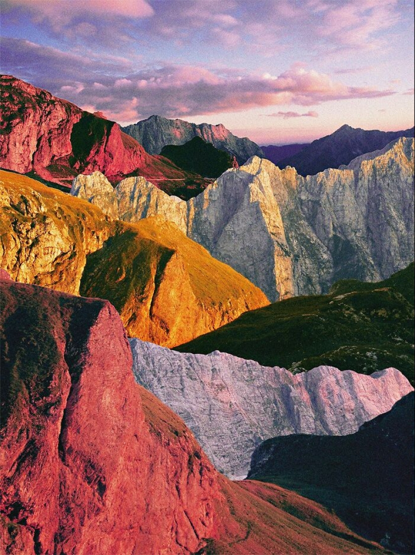 Ganadores del IPA 2023: explorando lo mejor en fotografía analógica. Ganadores del IPA 2023: explorando lo mejor en fotografía analógica.