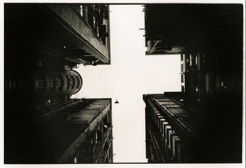 Ganadores del IPA 2023: explorando lo mejor en fotografía analógica. Ganadores del IPA 2023: explorando lo mejor en fotografía analógica.