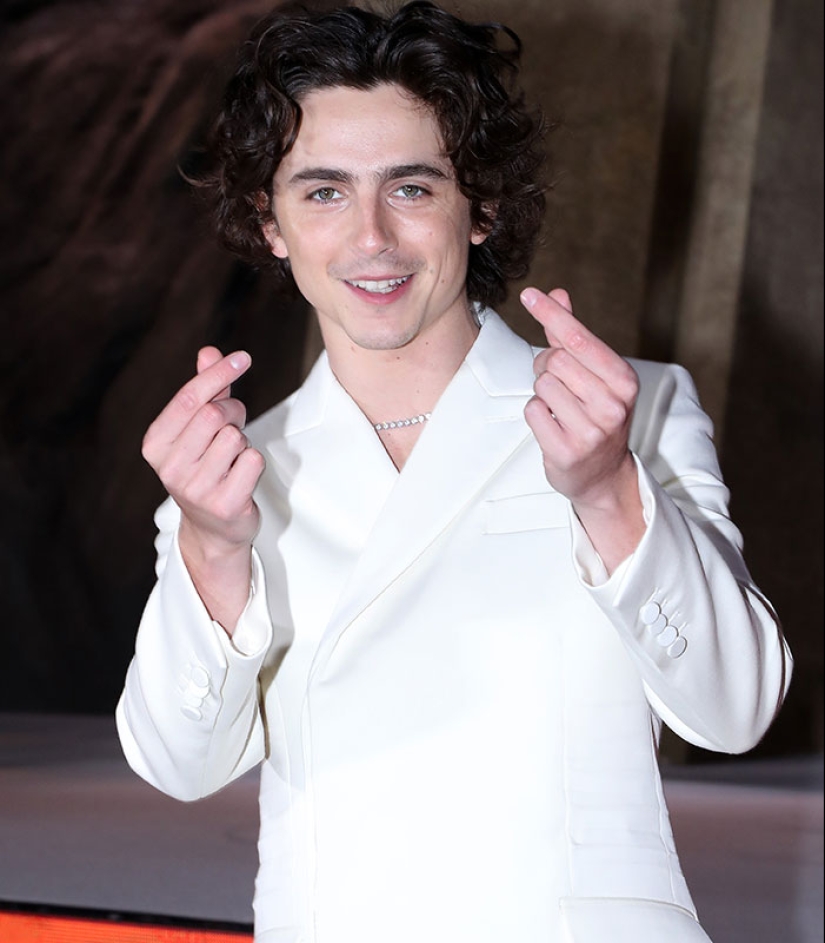 Gente confundida por las poses de Zendaya y Timothée Chalamet durante el estreno de Dune en Seúl