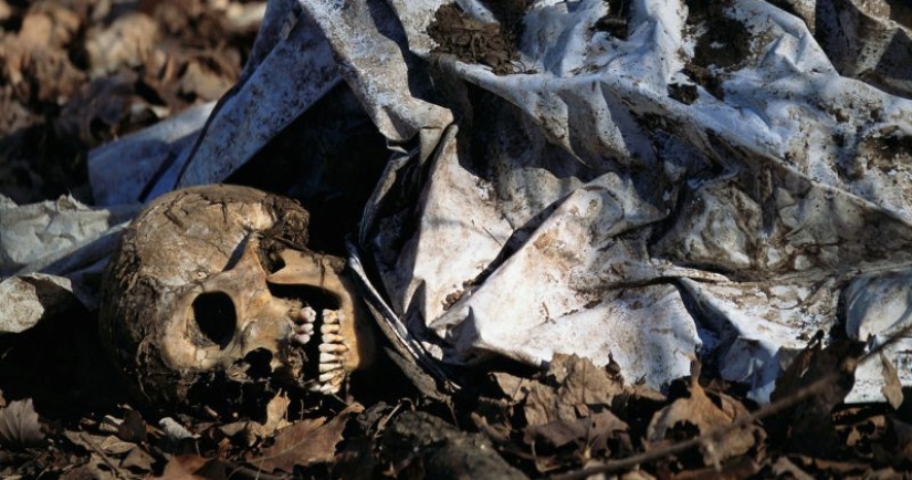 Granjas de cadáveres: para quienes una terrible "cosecha" está madurando en los campos y bosques Granjas de cadáveres: para quienes una terrible "cosecha" está madurando en los campos y bosques