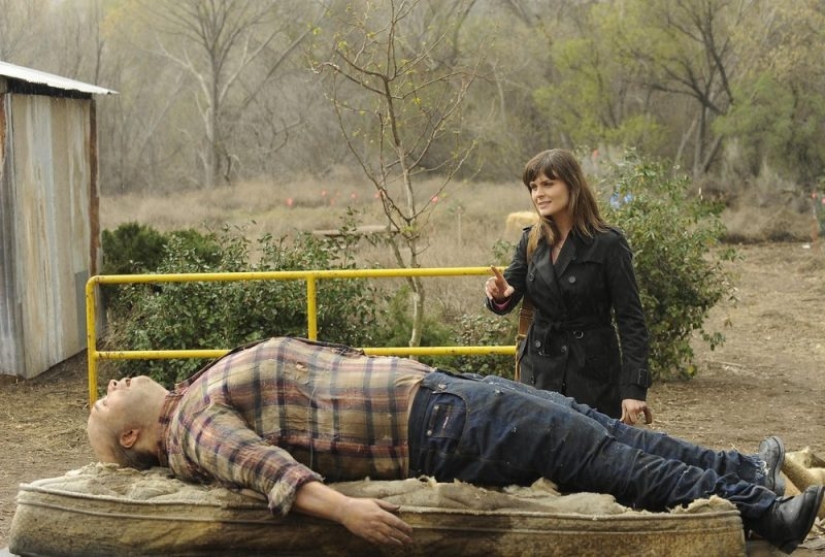 Granjas de cadáveres: para quienes una terrible "cosecha" está madurando en los campos y bosques Granjas de cadáveres: para quienes una terrible "cosecha" está madurando en los campos y bosques