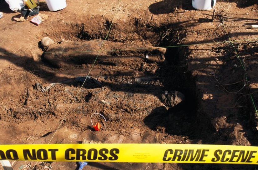 Granjas de cadáveres: para quienes una terrible "cosecha" está madurando en los campos y bosques Granjas de cadáveres: para quienes una terrible "cosecha" está madurando en los campos y bosques