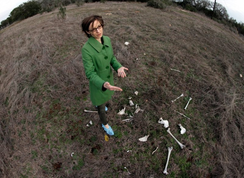 Granjas de cadáveres: para quienes una terrible "cosecha" está madurando en los campos y bosques Granjas de cadáveres: para quienes una terrible "cosecha" está madurando en los campos y bosques