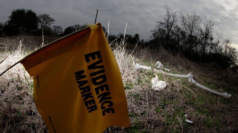 Granjas de cadáveres: para quienes una terrible "cosecha" está madurando en los campos y bosques Granjas de cadáveres: para quienes una terrible "cosecha" está madurando en los campos y bosques