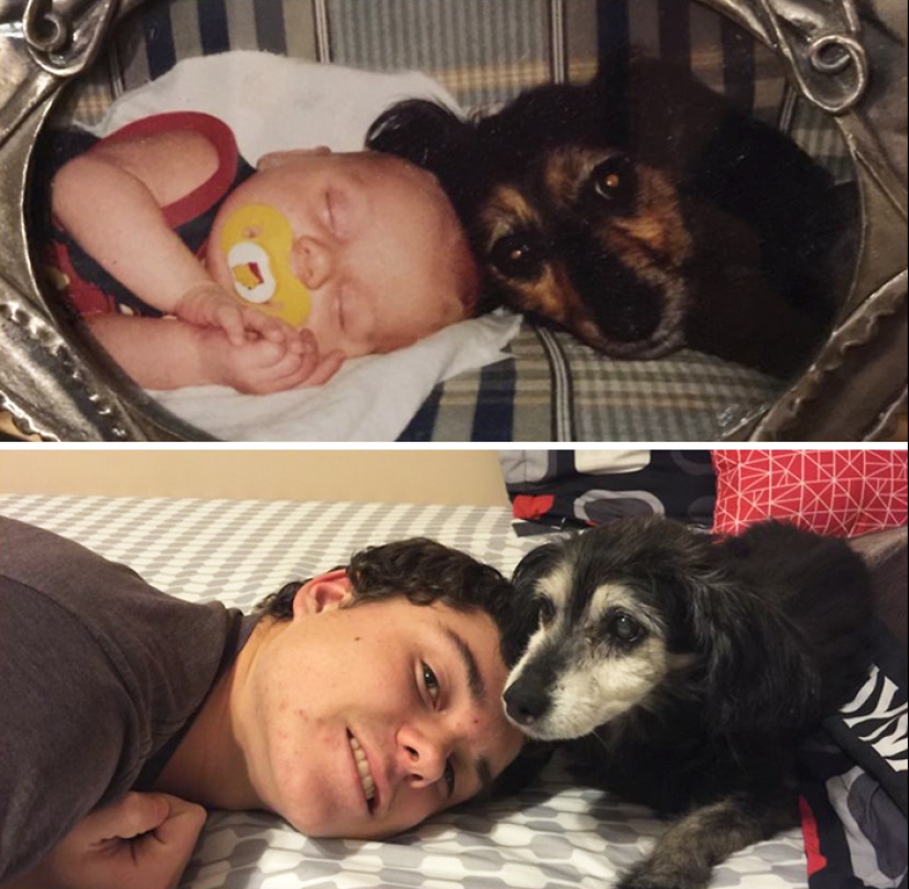 Grown up together: Dogs and their owners at the beginning of friendship and after many years Grown up together: Dogs and their owners at the beginning of friendship and after many years