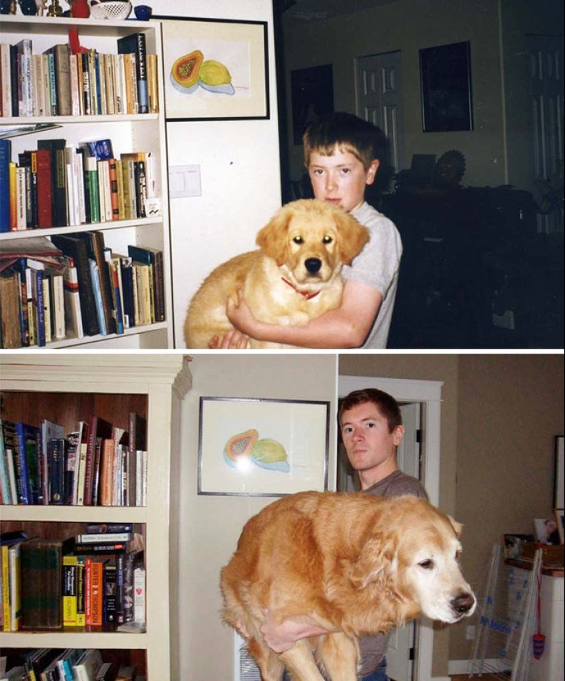 Grown up together: Dogs and their owners at the beginning of friendship and after many years Grown up together: Dogs and their owners at the beginning of friendship and after many years