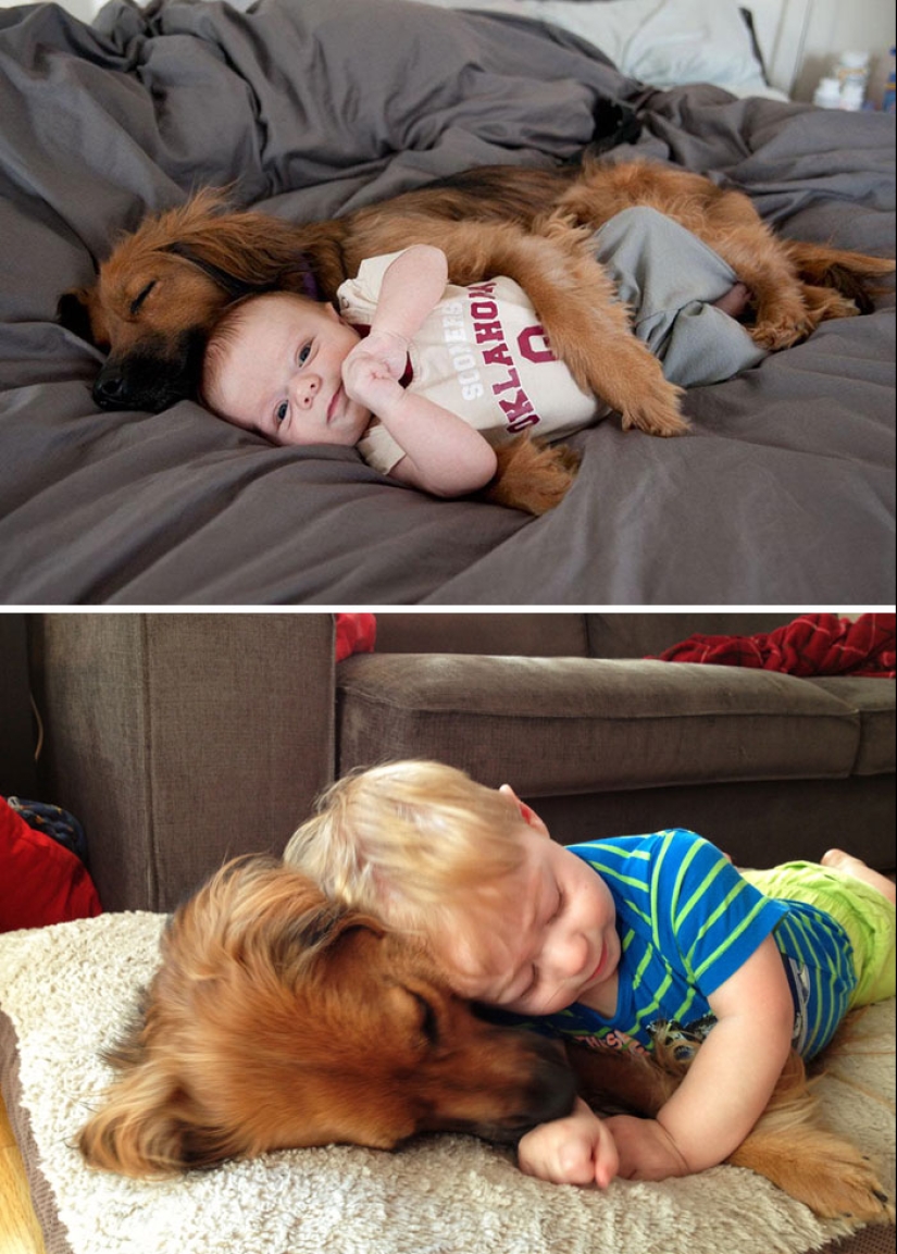 Grown up together: Dogs and their owners at the beginning of friendship and after many years Grown up together: Dogs and their owners at the beginning of friendship and after many years