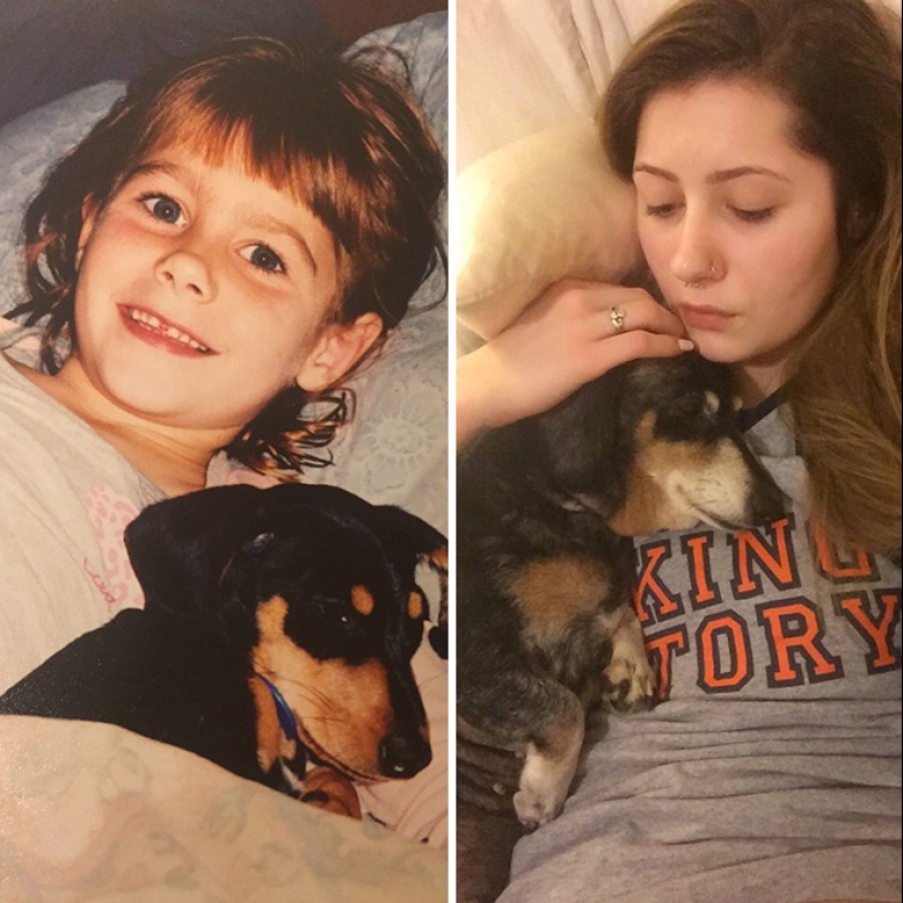 Grown up together: Dogs and their owners at the beginning of friendship and after many years Grown up together: Dogs and their owners at the beginning of friendship and after many years