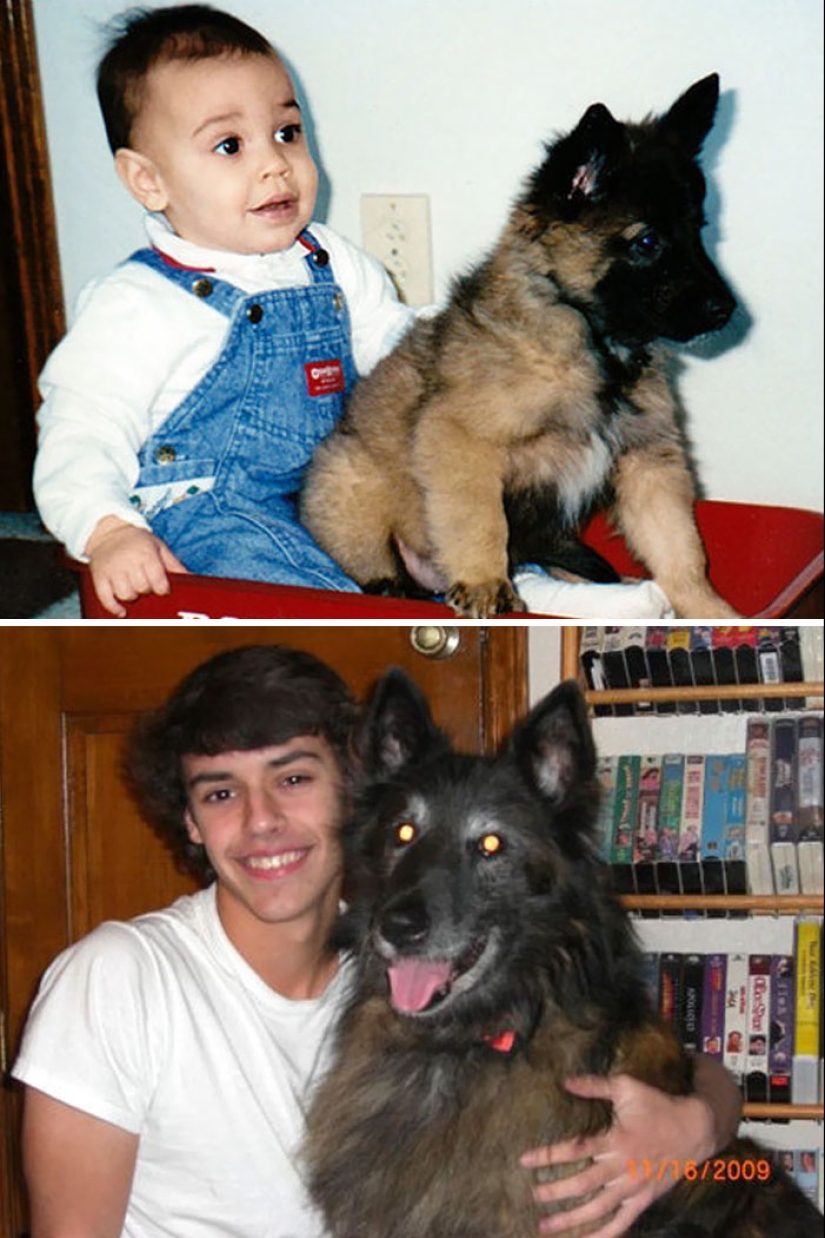 Grown up together: Dogs and their owners at the beginning of friendship and after many years Grown up together: Dogs and their owners at the beginning of friendship and after many years