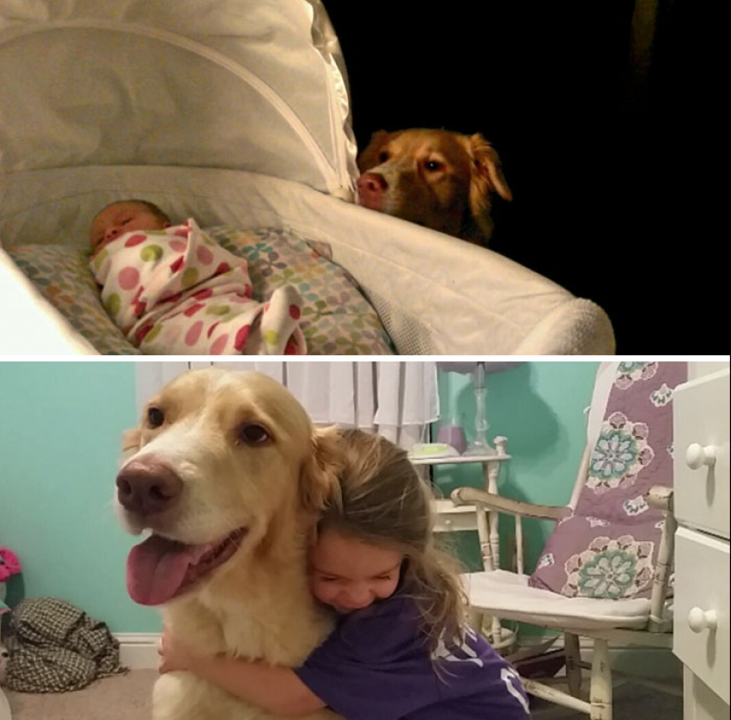 Grown up together: Dogs and their owners at the beginning of friendship and after many years Grown up together: Dogs and their owners at the beginning of friendship and after many years