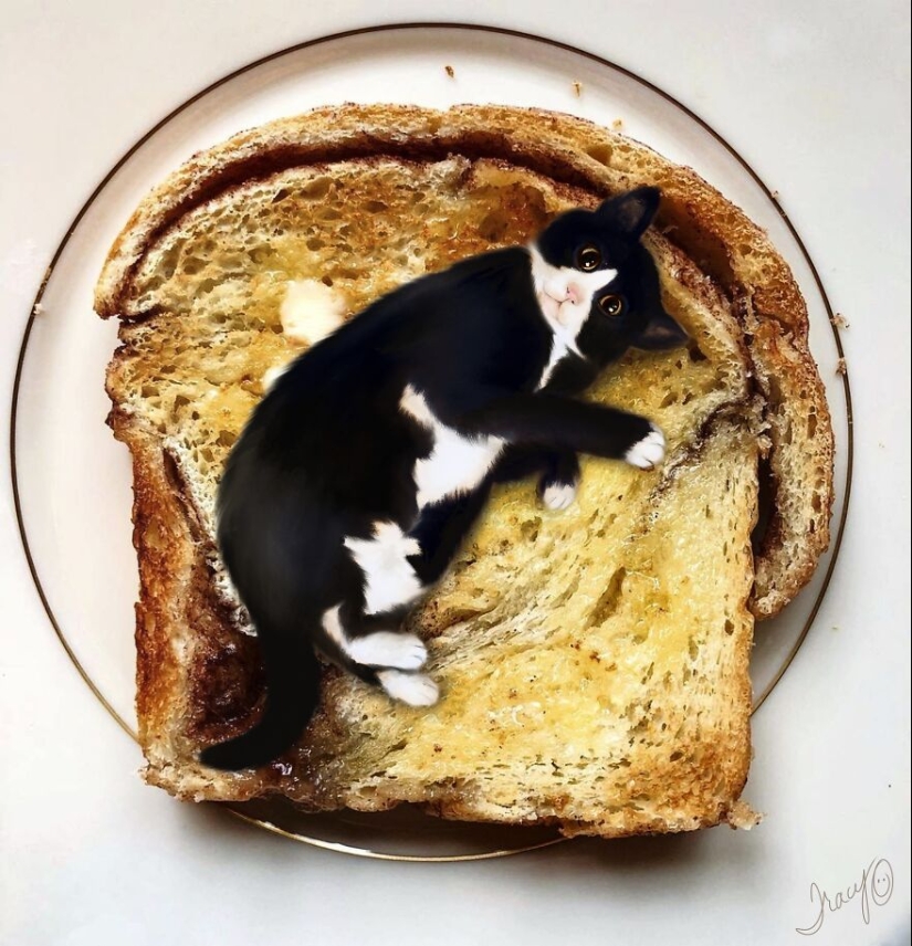 Hago arte lindo agregando animales dibujados a fotos aleatorias