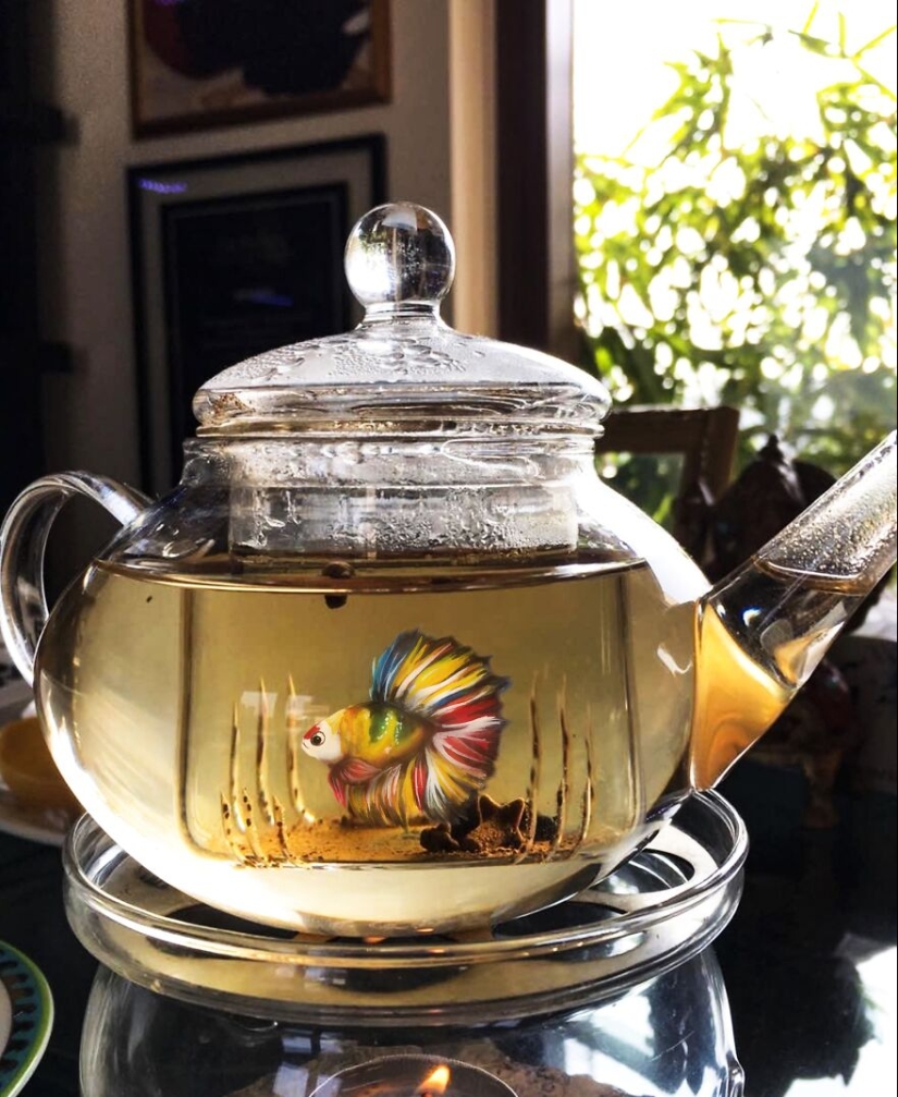 Hago arte lindo agregando animales dibujados a fotos aleatorias