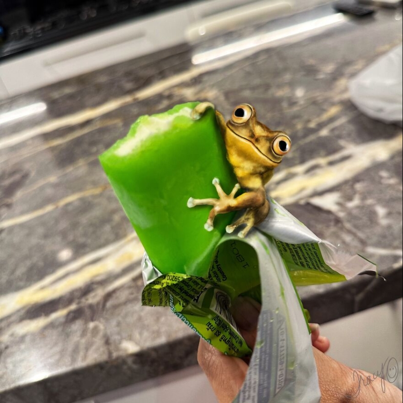 Hago arte lindo agregando animales dibujados a fotos aleatorias