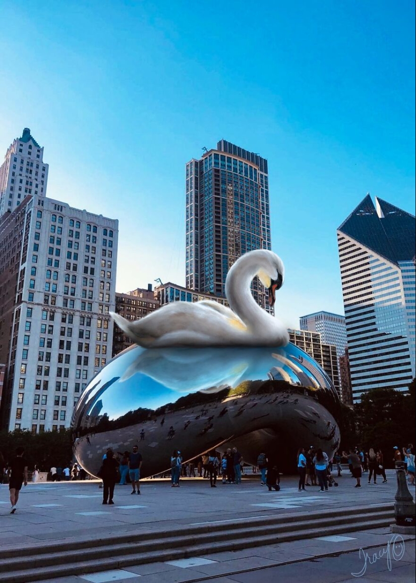 Hago arte lindo agregando animales dibujados a fotos aleatorias