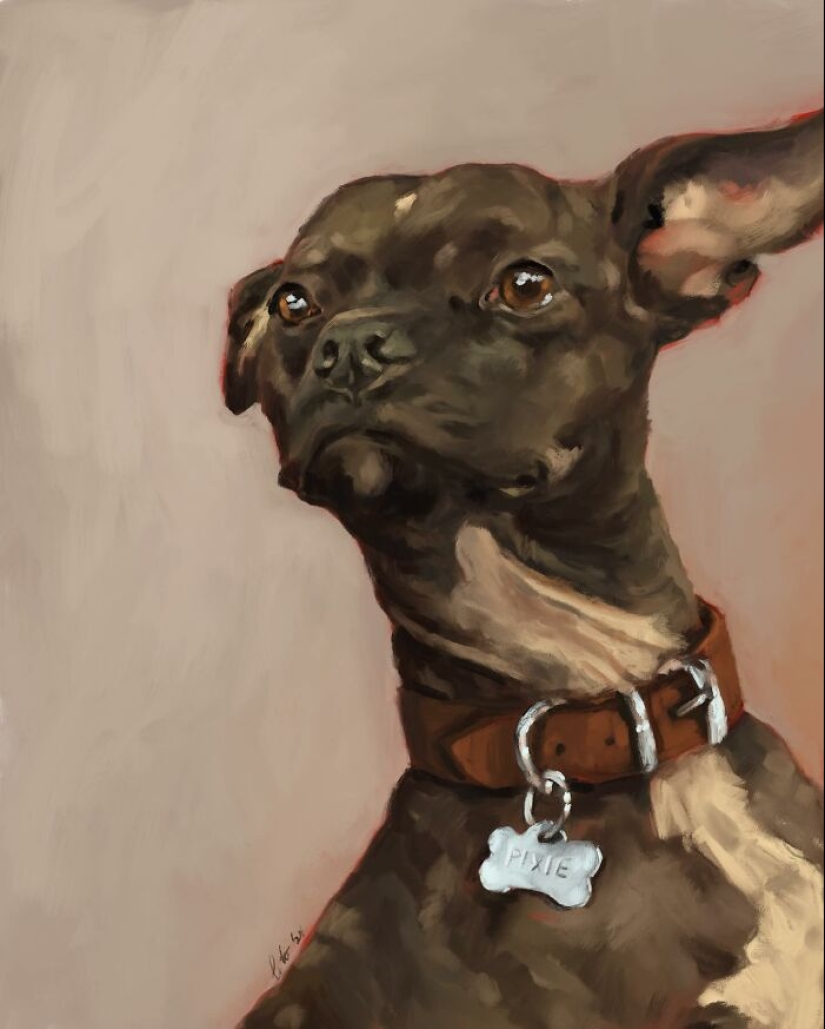 Hago pinturas digitales de perros, gatos y otros animales.