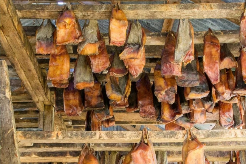 Haukartl: un plato vikingo mortal Haukartl: un plato vikingo mortal