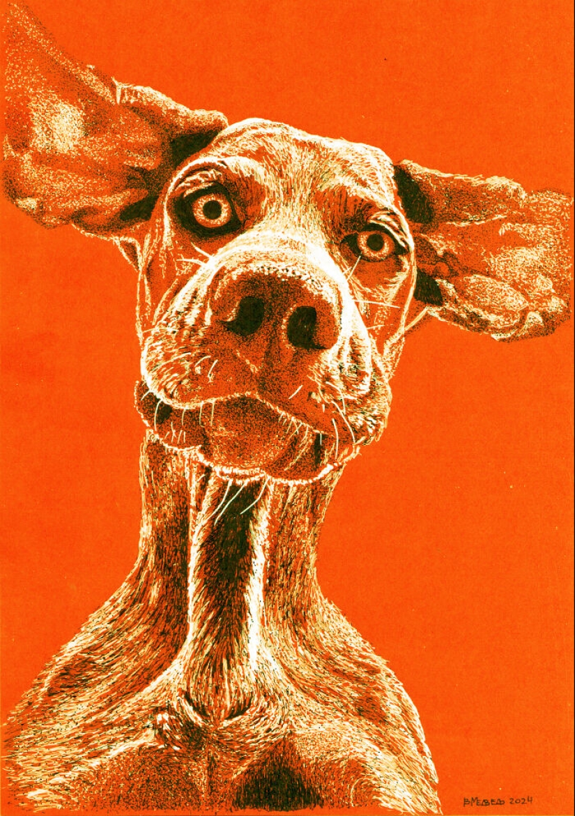 Hice dibujos con puntos blancos y negros sobre papel naranja Hice dibujos con puntos blancos y negros sobre papel naranja