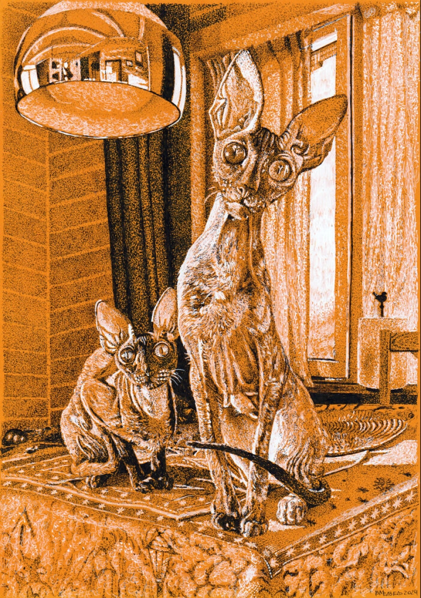 Hice dibujos con puntos blancos y negros sobre papel naranja Hice dibujos con puntos blancos y negros sobre papel naranja