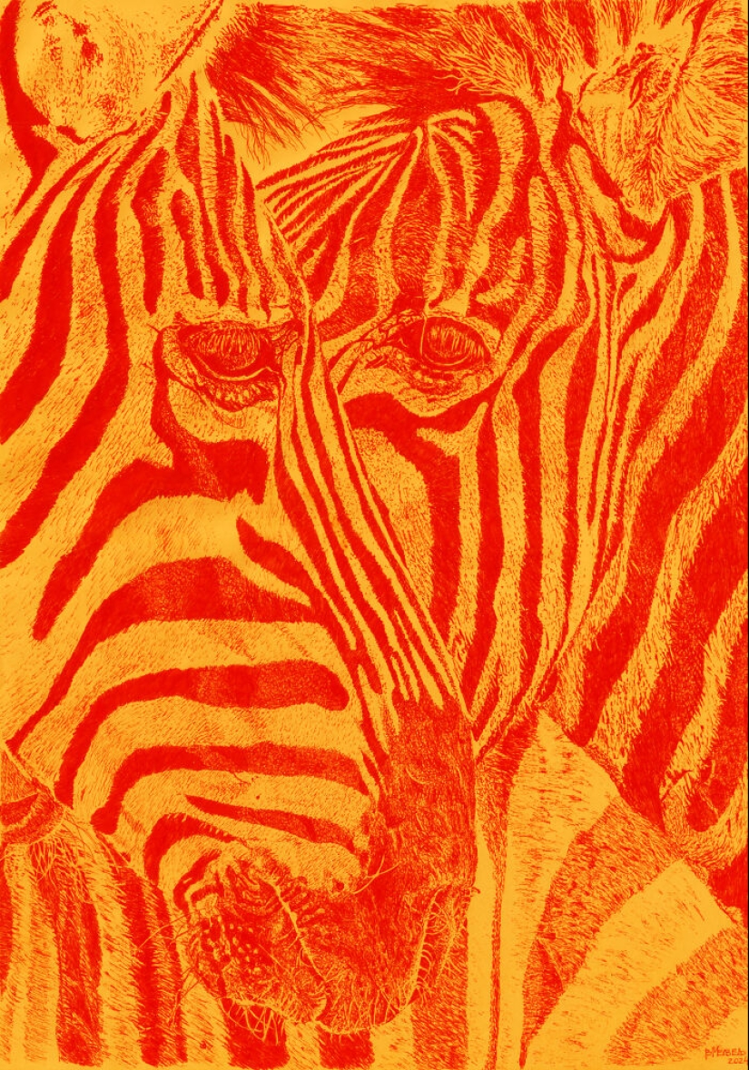 Hice dibujos con puntos blancos y negros sobre papel naranja Hice dibujos con puntos blancos y negros sobre papel naranja