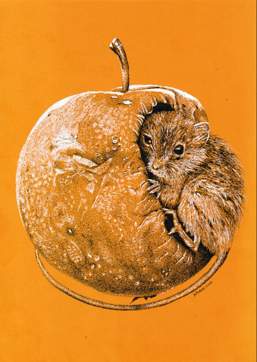 Hice dibujos con puntos blancos y negros sobre papel naranja Hice dibujos con puntos blancos y negros sobre papel naranja