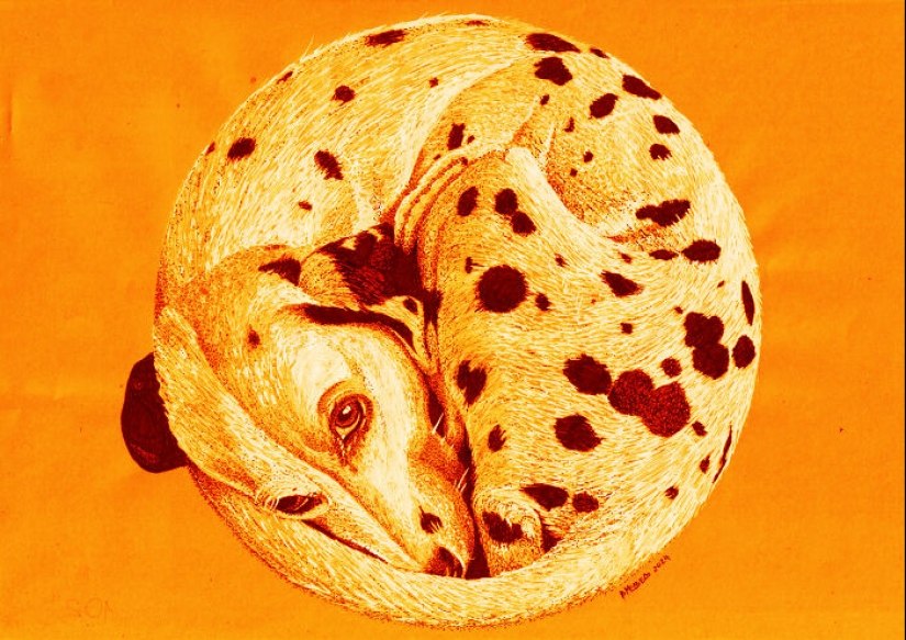 Hice dibujos con puntos blancos y negros sobre papel naranja Hice dibujos con puntos blancos y negros sobre papel naranja