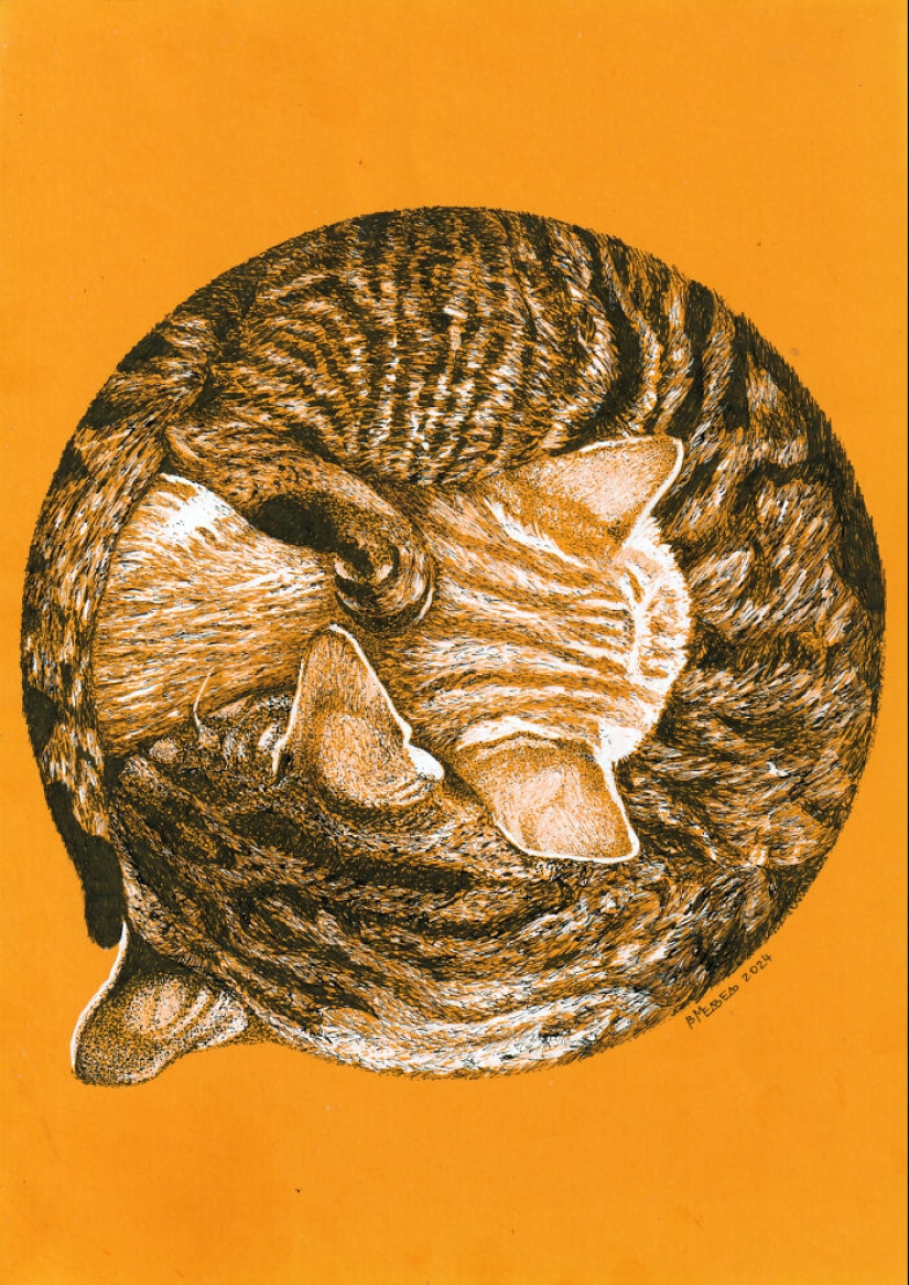 Hice dibujos con puntos blancos y negros sobre papel naranja Hice dibujos con puntos blancos y negros sobre papel naranja