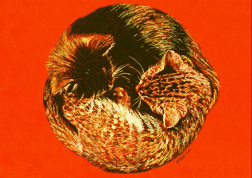 Hice dibujos con puntos blancos y negros sobre papel naranja Hice dibujos con puntos blancos y negros sobre papel naranja