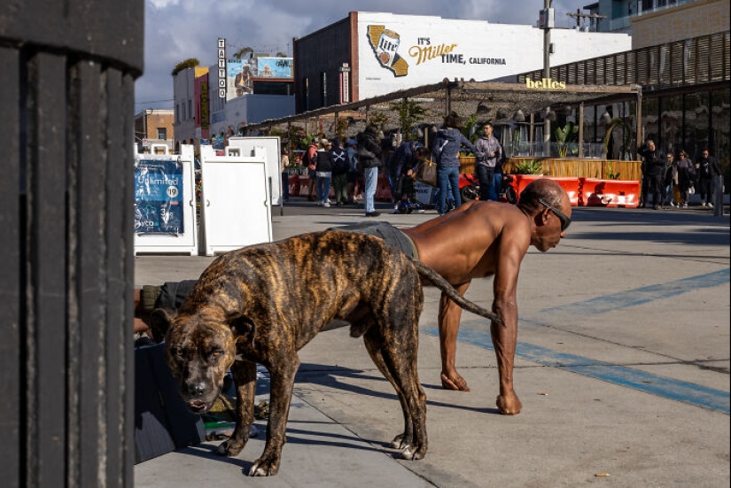 Hilarious Street Shots: “Life Is But A Dream” By Eric Davidove