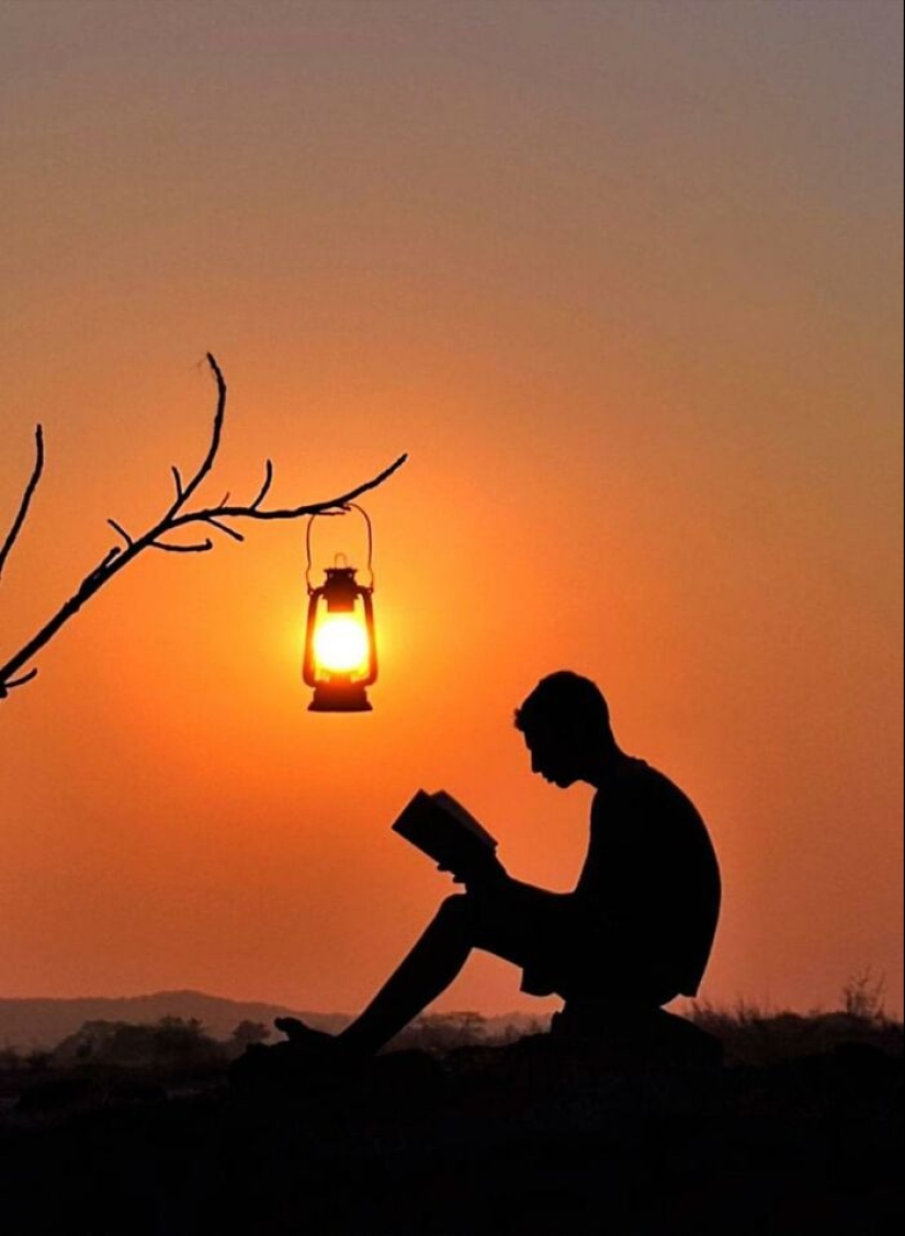 Historias de puestas de sol: 10 fotografías de siluetas, plantas e insectos de personas por Aaditya Bhat