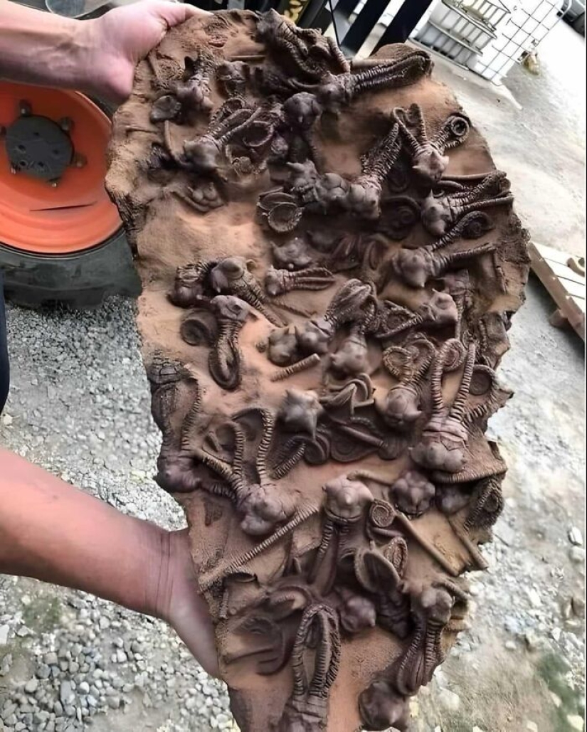 “History’s Mysteries”: 10 Remarkable Photos And Facts About The Past “History’s Mysteries”: 10 Remarkable Photos And Facts About The Past