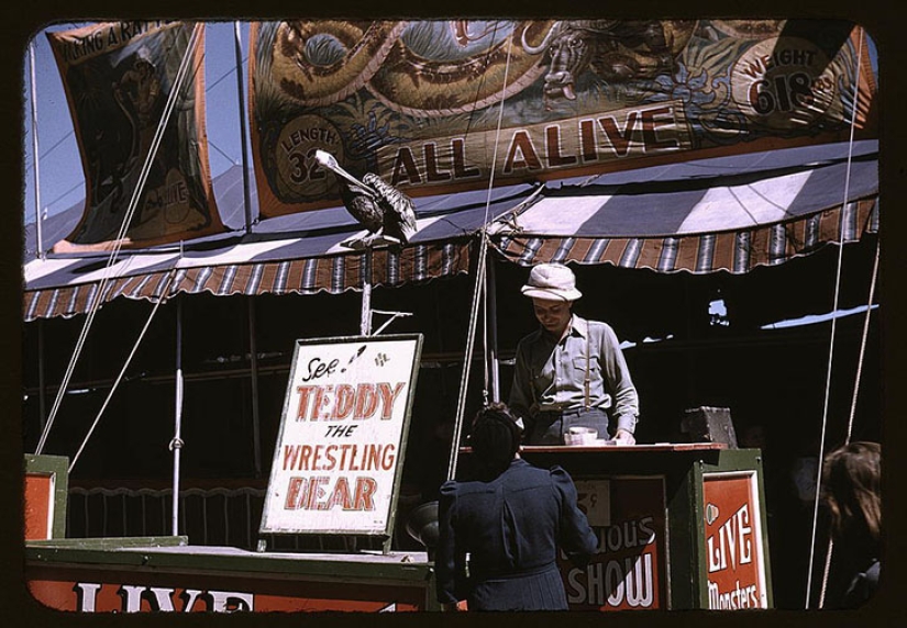 How Americans experienced their most devastating crisis — the Great Depression How Americans experienced their most devastating crisis — the Great Depression