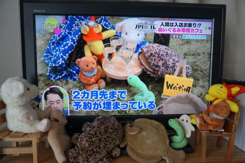 How does a Japanese plush toy cafe work? How does a Japanese plush toy cafe work?