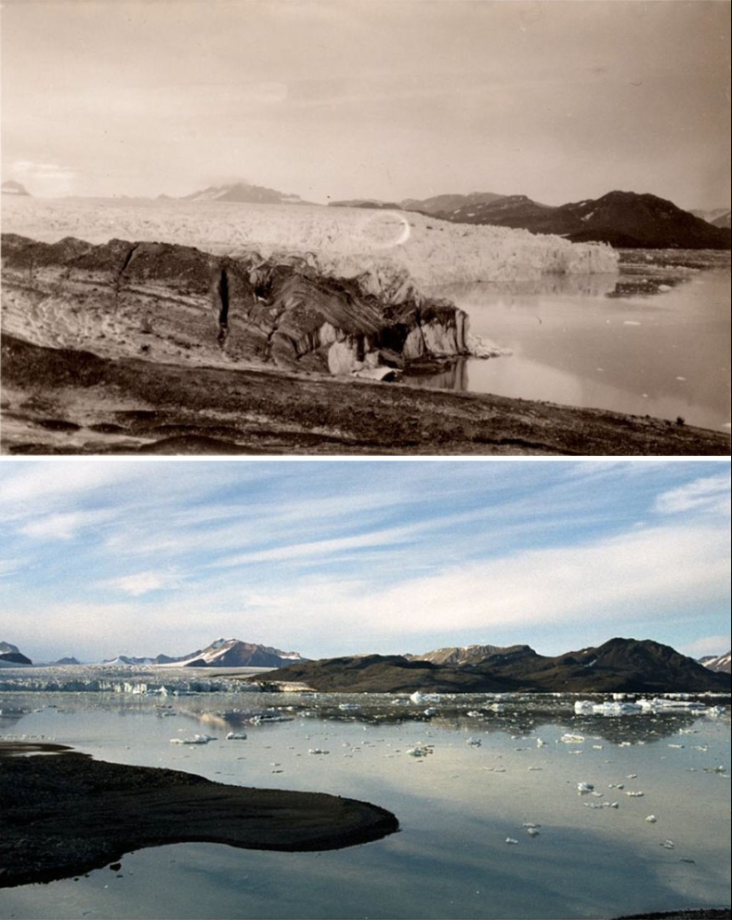 How the Arctic is melting: an impressive comparison of the frames of the XX century and modern How the Arctic is melting: an impressive comparison of the frames of the XX century and modern
